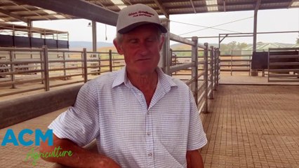 Glen Goulburn stud principal Lynn Vearing, Glenburn | 30/01/23 | Stock & Land