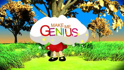 Excretory System Parts and Functions Animation video for kids