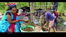 Woman Earns Huge Profit With Organic Farming _ Komaram Bheem _ V6 Weekend Teenmaar