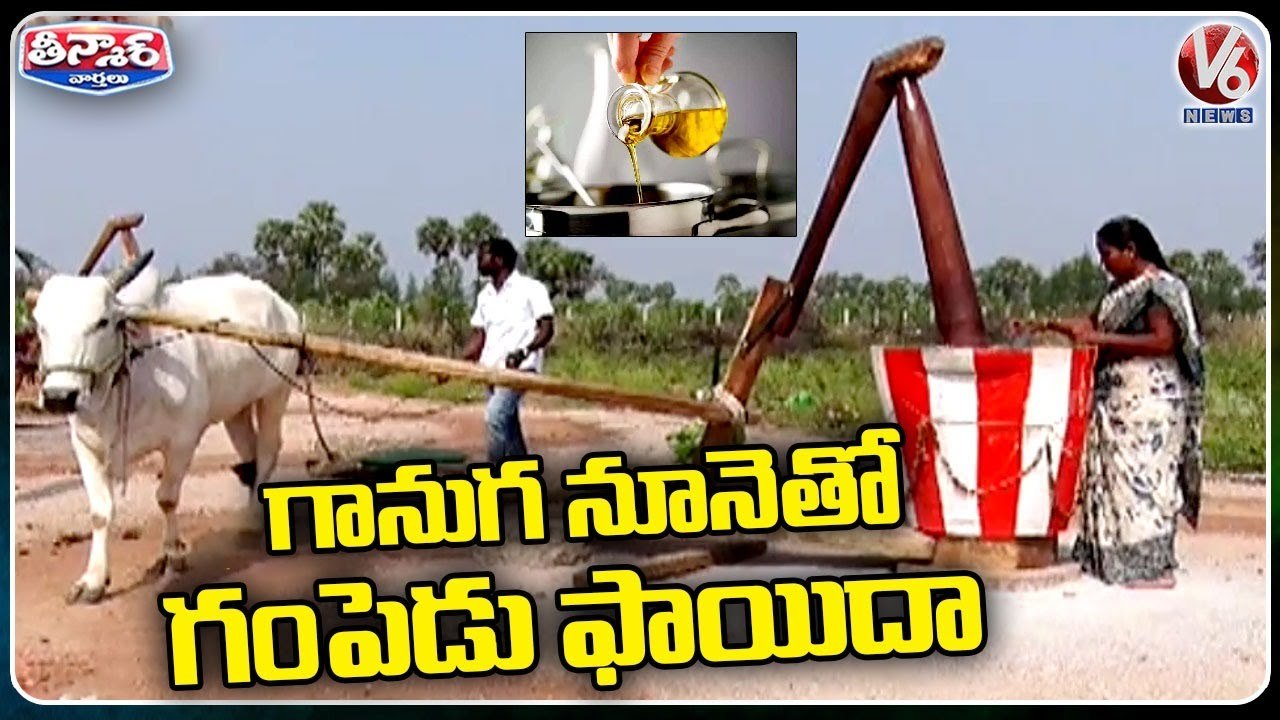 Traditional Oil Extraction Method _ Yeddu Ganuga Oil Making _ Organic Oil _ V6 Weekend Teenmaar