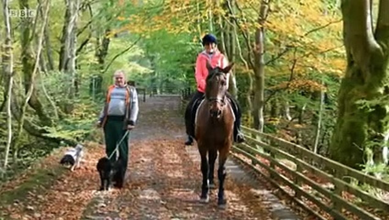 Close Calls - On Camera - Se6 - Ep03 HD Watch