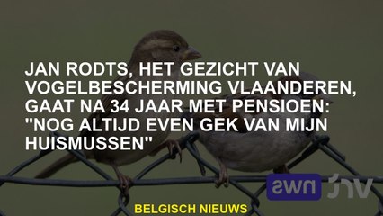 Jan Rodts, The Face of Bird Protection Vlaanderen, zal na 34 jaar met pensioen gaan: "Nog steeds een