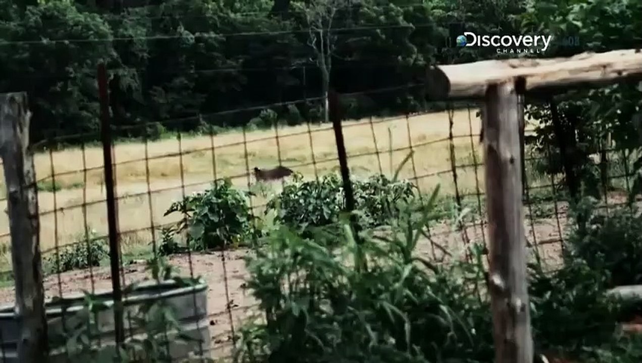 Mur-'der Comes to Town - Se2 - Ep05 HD Watch