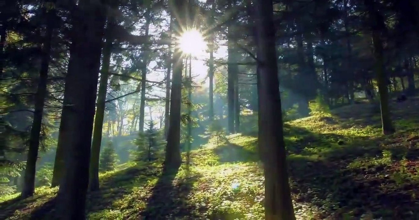 The Last Czars - Se1 - Ep02 HD Watch