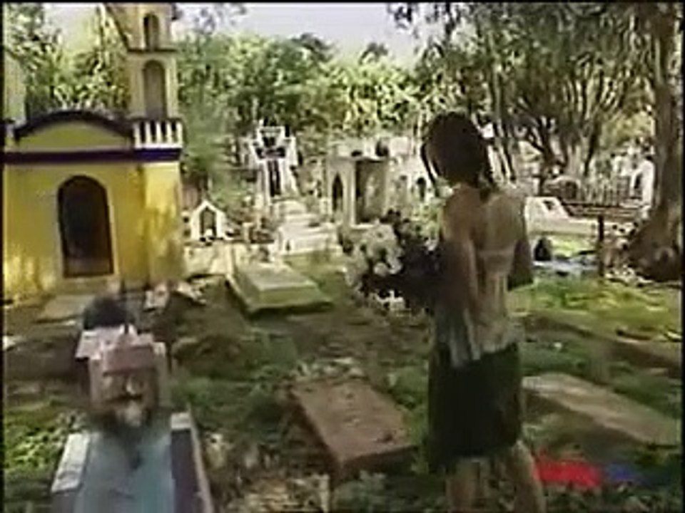 Amor en custodia México Capitulo 14