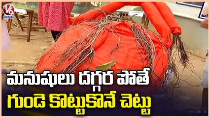 Hyderabad Sahitya Vedika Conducts  Literary Fest In Vidyaranya School _ Hyderabad _ V6 News