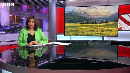 German stag-calling championship takes place in Bavaria