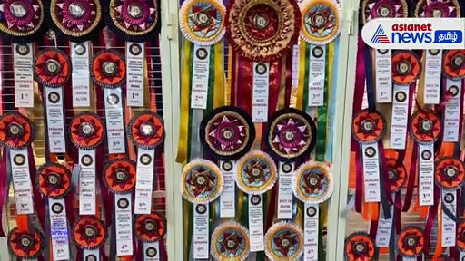 சேலத்தில் முதல்முறையாக சர்வதேச பூனைகள் கண்காட்சி நடைபெற்றது