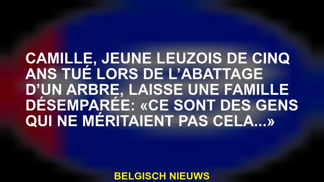 Camille, un jeune Leuzois de cinq ans tué lors du  d'un arbre, laisse une famille désemparée: "Ce so