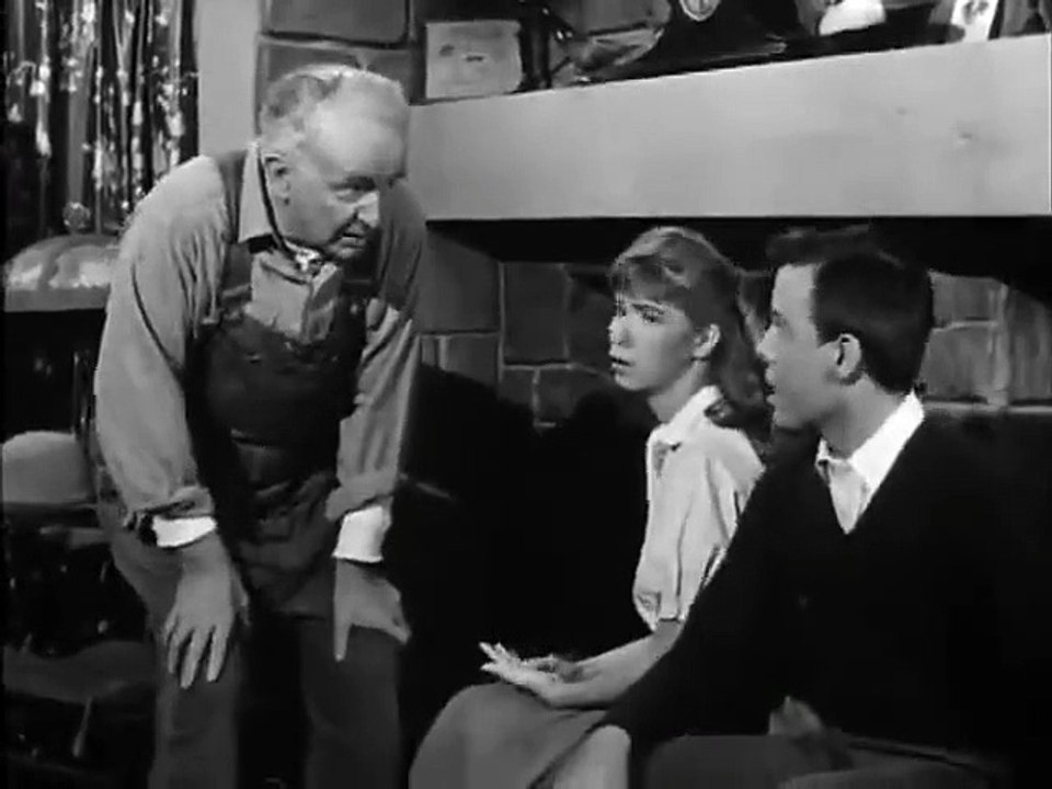 The Real McCoys - Se3 - Ep38 HD Watch