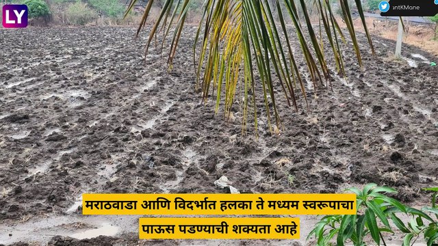 Maharashtra Weather Update: मध्य महाराष्ट्रासह मराठवाड्यातील काही भागांत अवकाळी पावसाचा इशारा, शेतकऱ्यांची चिंता वाढली