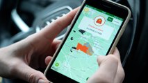 «On va éviter la zone rouge» : Melckone, l’application qui veut devenir le Waze de la chasse