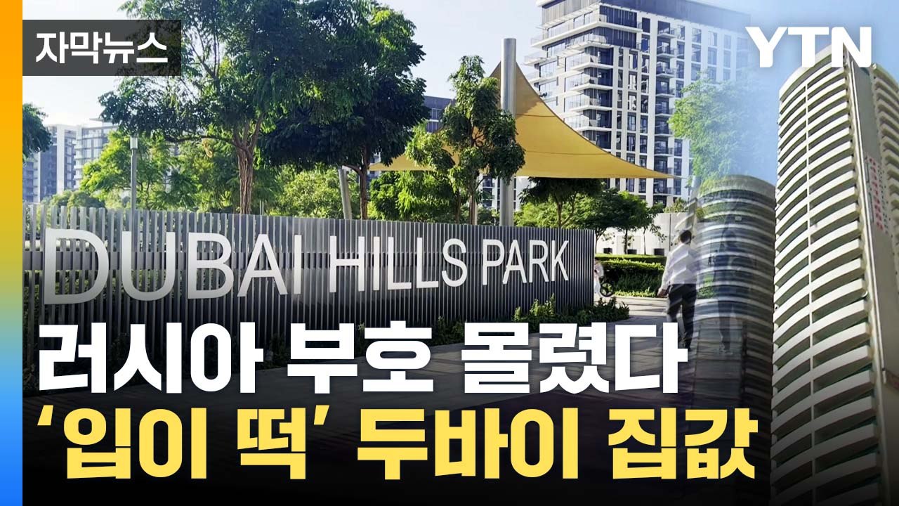 [자막뉴스] 동결된 러시아 자산 '여기'로...난리 난 두바이 상황 / YTN