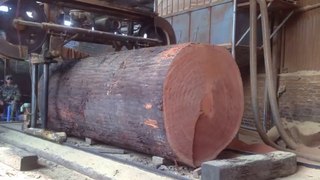 Amazing Biggest Woodworking Heavy Sawmill Cutting Wood - Excellent Sawmill Extreme Techniques