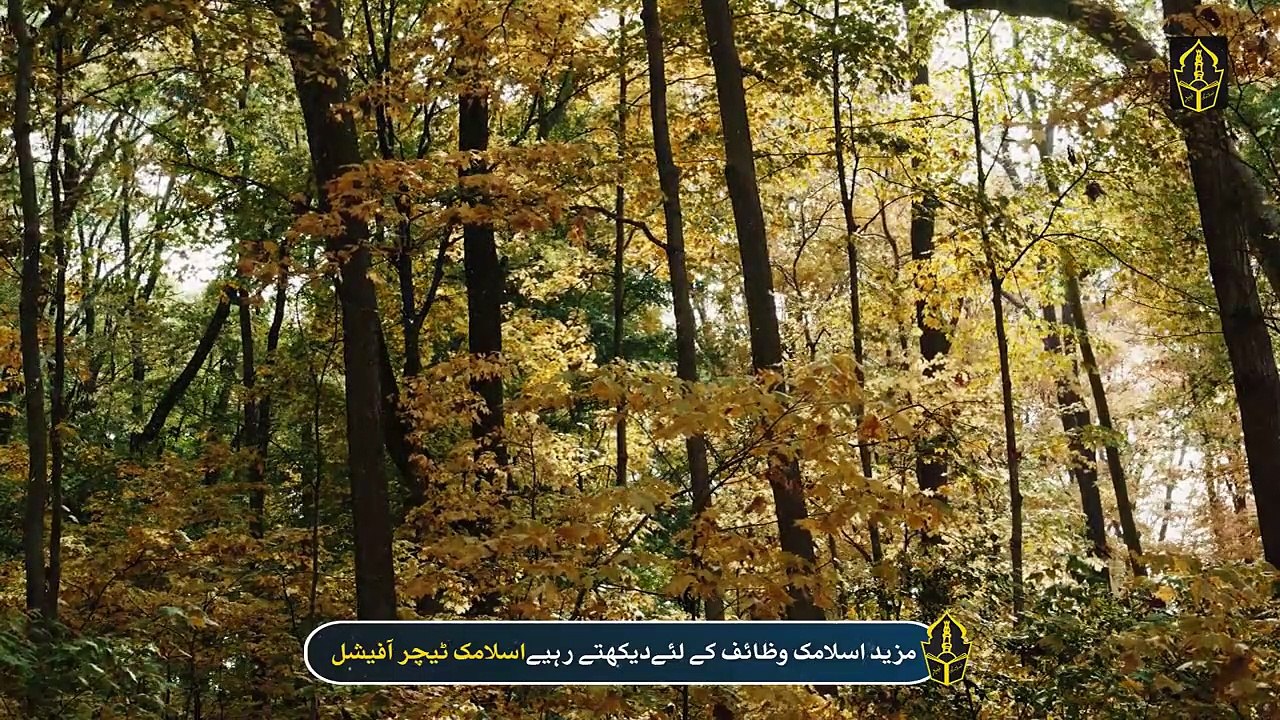 If your eyes suddenly open at night, you must listen to this Farman e Nabvi ( SAW) - Islamic Teacher