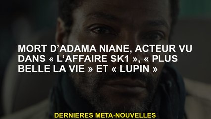 Mort d'Adama Niane, acteur vu dans "The Sk1 Affair", "plus Belle La Vie" et "Lupin"