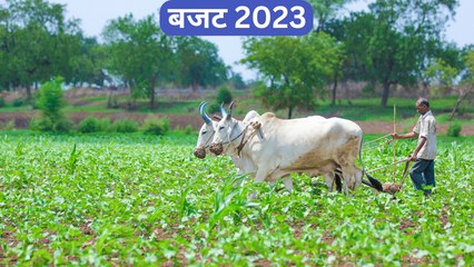 बजट से क्या है देश के किसानों की मांग, खाद सब्सिडी से बिजली तक ये हैं उम्मीदें