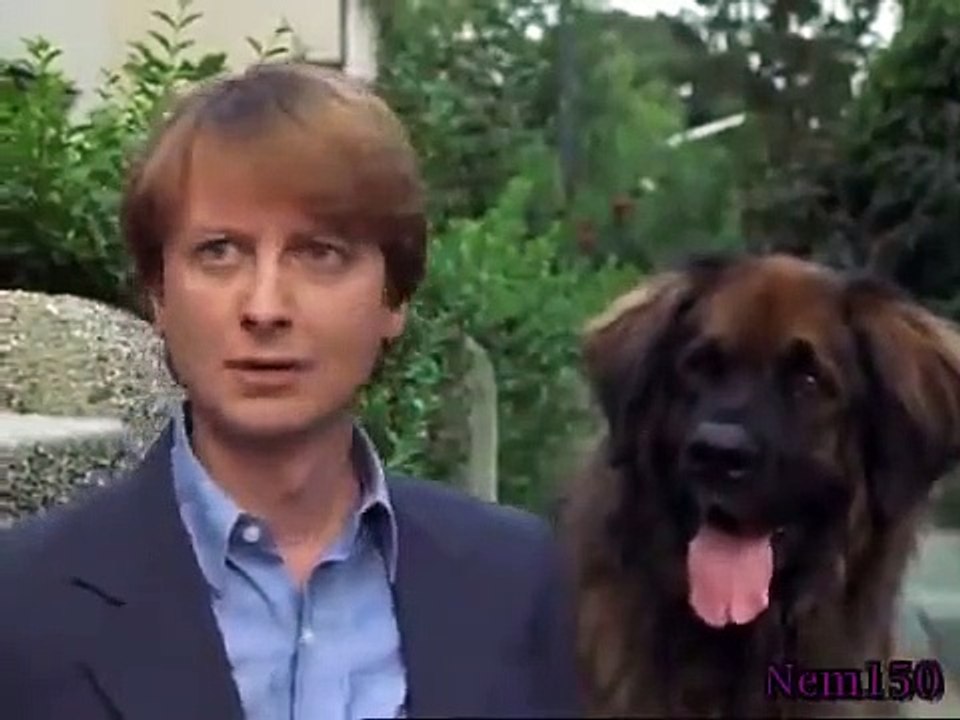 Rex - A Cop's Best Friend - Se5 - Ep06 HD Watch