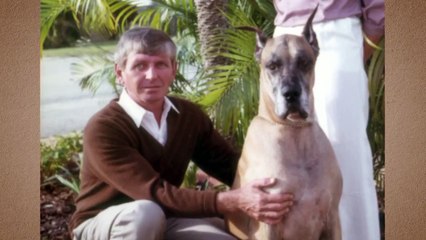 A Time to Kill - Se1 - Ep11 - A Chemical Solution HD Watch