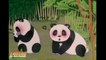 Tao Tao, der kleine Pandabär - Trailer (Deutsch) HD