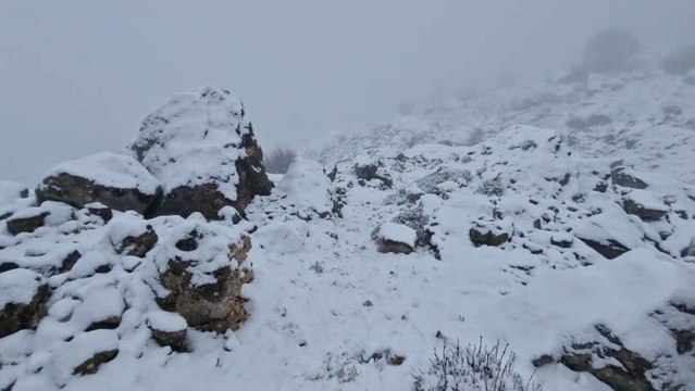 Las impresionantes imágenes de la nieva en Sierra Aitana, la montaña más alta de Alicante