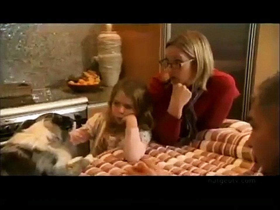 Dog Whisperer with Cesar Millan - Se6 - Ep14 HD Watch