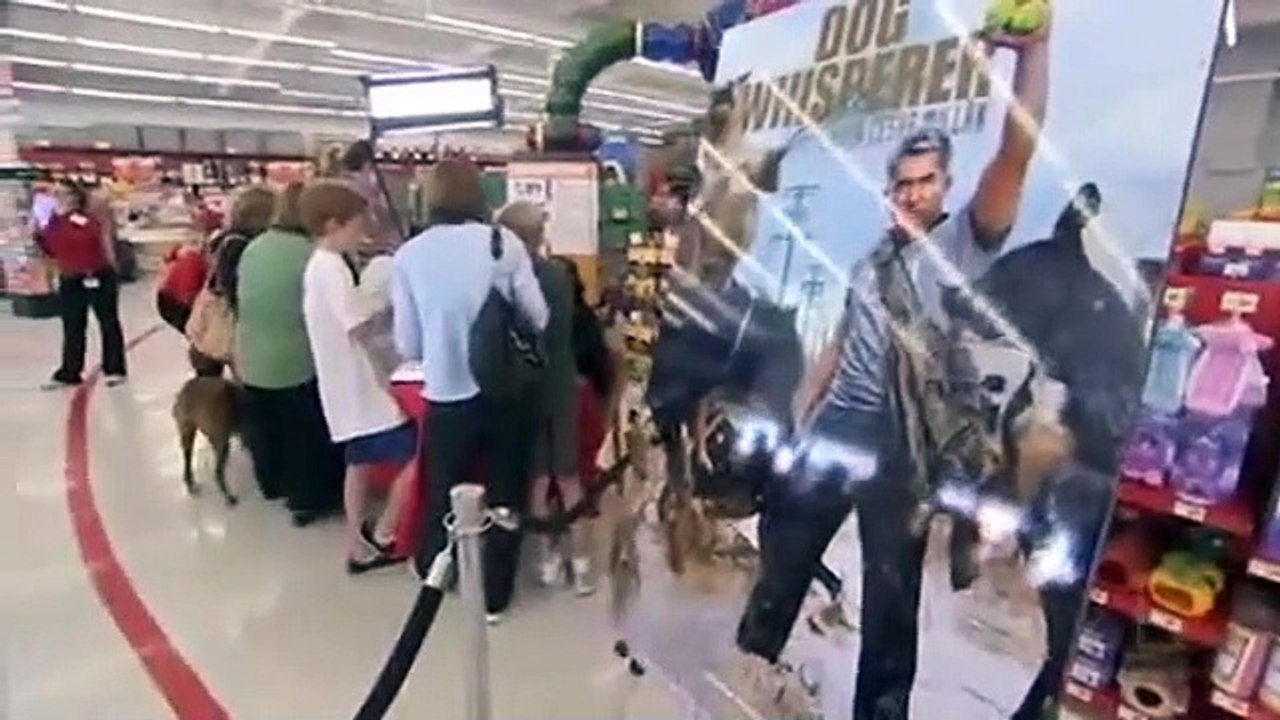 Dog Whisperer with Cesar Millan - Se7 - Ep02 HD Watch