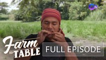 Unusual dish? More like, Delicious! (Full episode) | Farm To Table