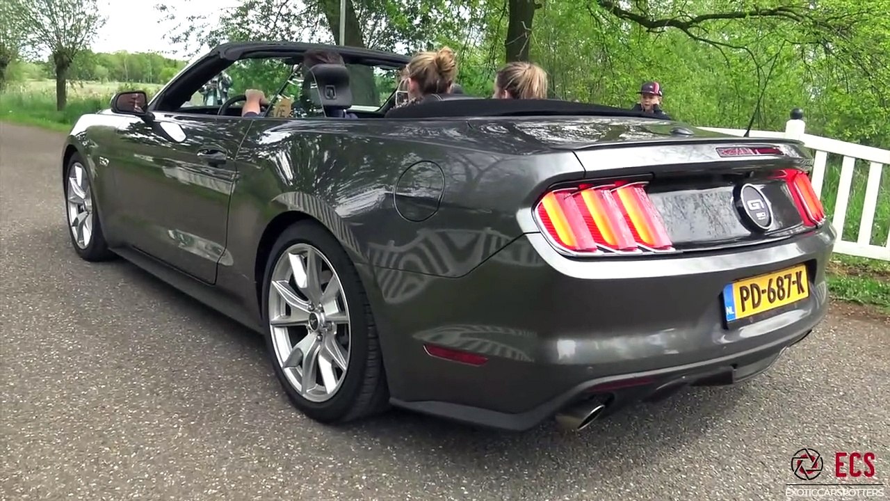 BEST OF Ford Mustang Sounds - Alphamale Widebody- 950HP Mustang- GT350R- 400HP Ecoboost Mustang