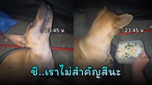ขำจะขิต ! เมื่อนุดลืมให้อาหาร น้องก็เลยงอนขั้นสุด เชิดหน้าหนีเลยสิคะ