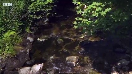 Requiem - Se1 - Ep05 HD Watch