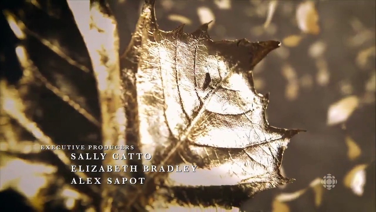 Anne - se1 - ep07 - wherever you are is my home hd watch