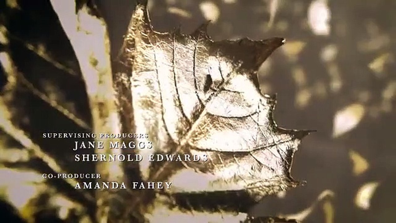 Anne - Se2 - Ep03 HD Watch