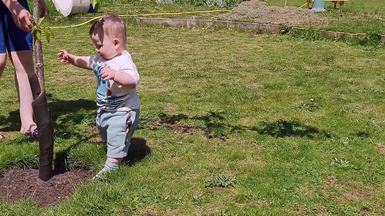 This Baby Loves Trees