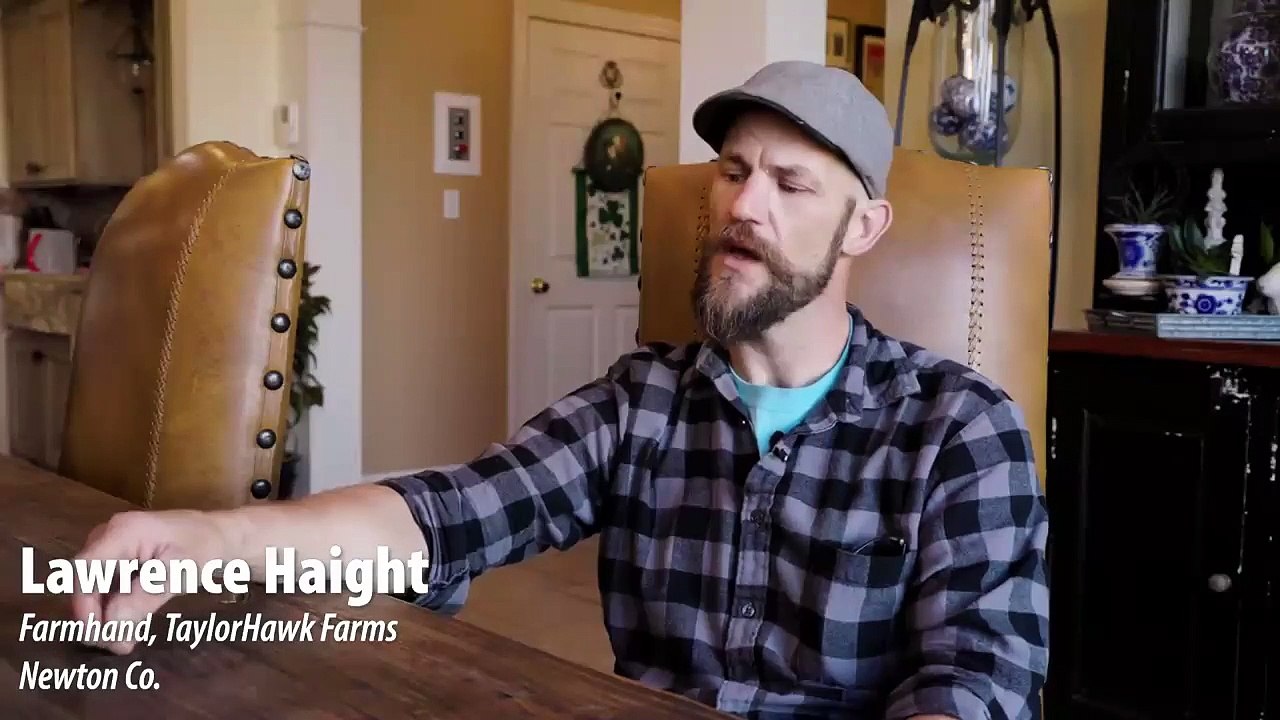 Highland cattle from Arkansas | TaylorHawk Farms Co.