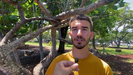 Micro-trottoir -  COVID