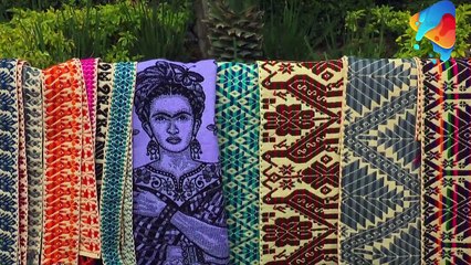 America Express Episodul 9 29 ianuarie 2023 Online Gratis