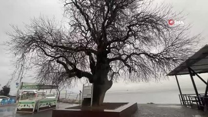 İzmit Körfezi'nin dibinde, 4 buçuk asırdır ayakta duruyor