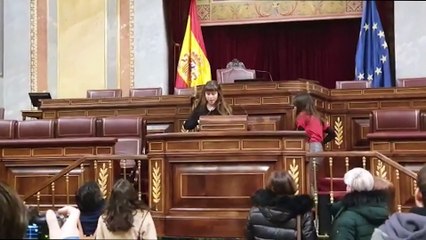 Los activistas que entraron en el Prado burlan la seguridad del Congreso e intentan pegarse al atril