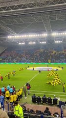 Vitesse Arnhem