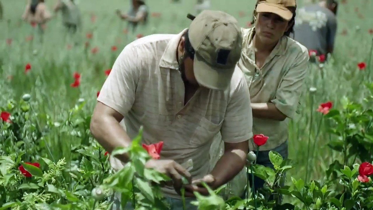 El Chapo - Se2 - Ep08 HD Watch