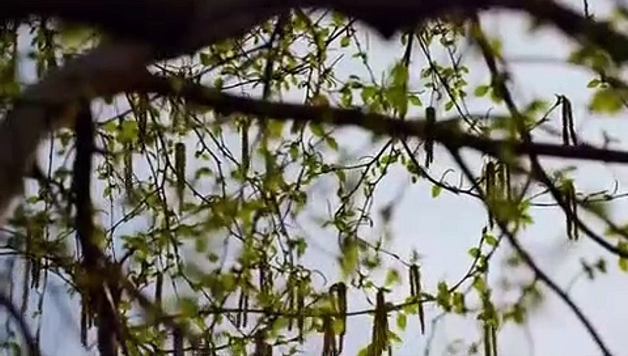 Fear Thy Neighbor - Se7 - Ep03 HD Watch