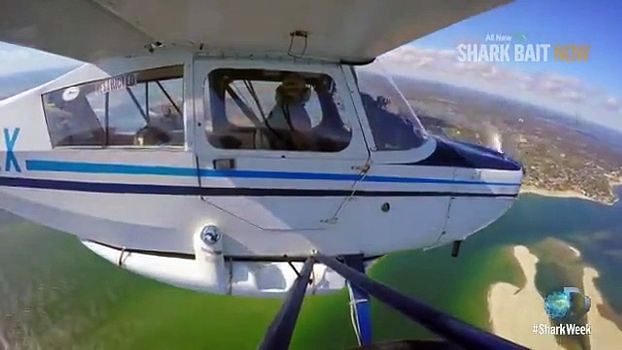 Shark Week - Se29 - Ep13 HD Watch