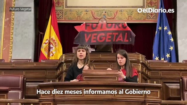 Activistas climáticos pegan sus manos a los micrófonos del Congreso de los Diputados