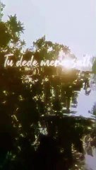 Tu dede mera sath tham le haath | whatsapp status | lyrics video | LOFI MUSIC #music #whatsapstatus