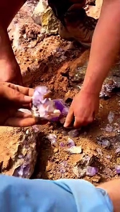 Wow_for._Amazing_Watch_til_the_end!“We_uncovered_this_open_cavity_of_the_Amethyst_clusters_late_one_afternoon,_each_piece_was_facing_down_into_the_di