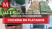 En Chiapas, encuentran 213 kilos de cocaína en tráiler que transportaba plátano