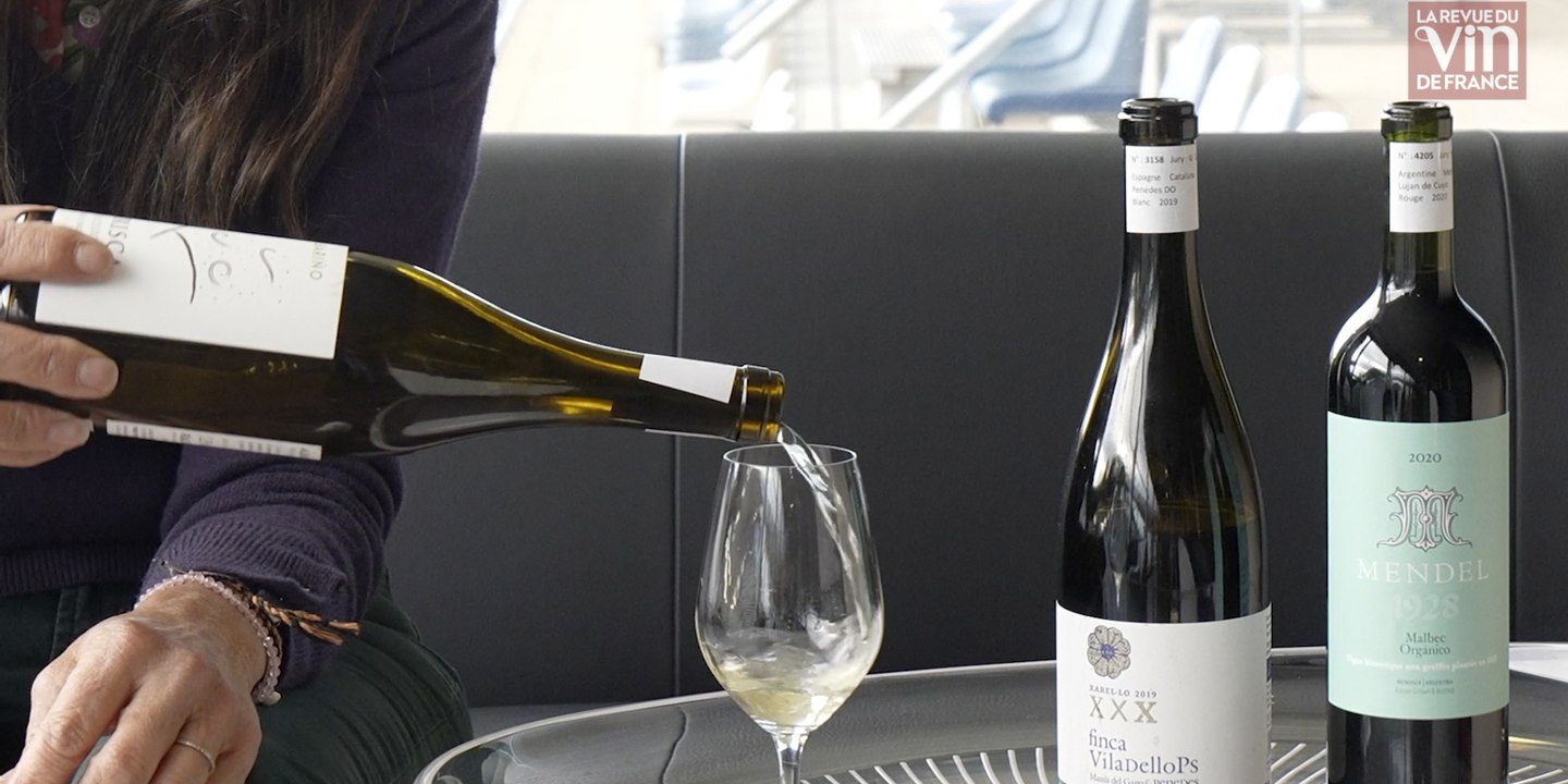 Millésime Bio 2023 : Six vins au profil sudiste à déguster en priorité