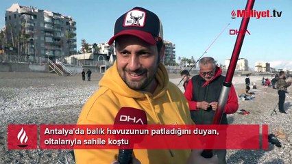 Antalya'da balık havuzunun patladığını duyan, oltalarıyla sahile koştu