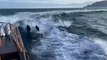 Dolphins swim alongside RNLI boat off coast of Northern Ireland